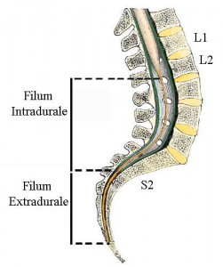 contributi_016_01