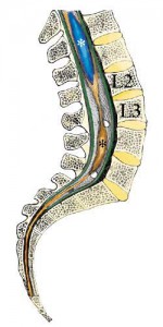 contributi_016_03